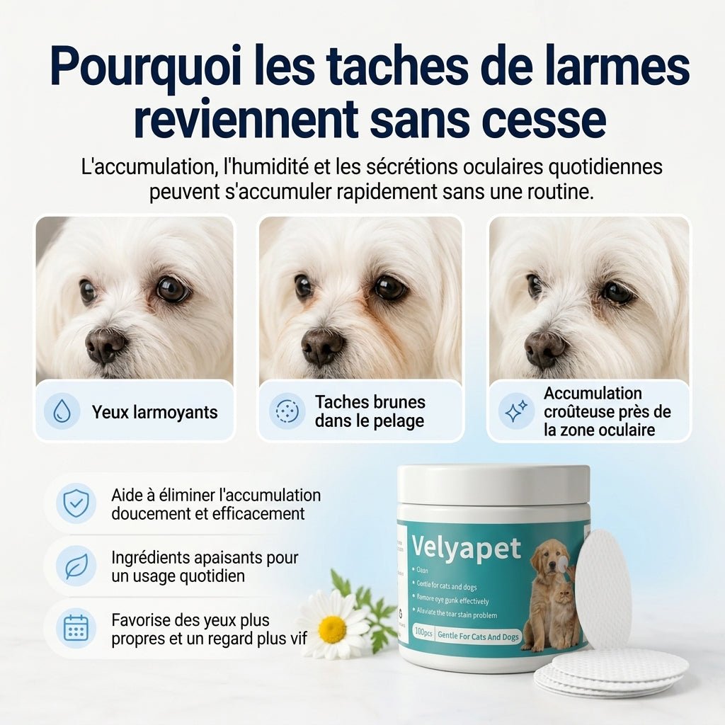 Velyapet – Lingettes pour traces de larmes chiens & chats - Velyapet