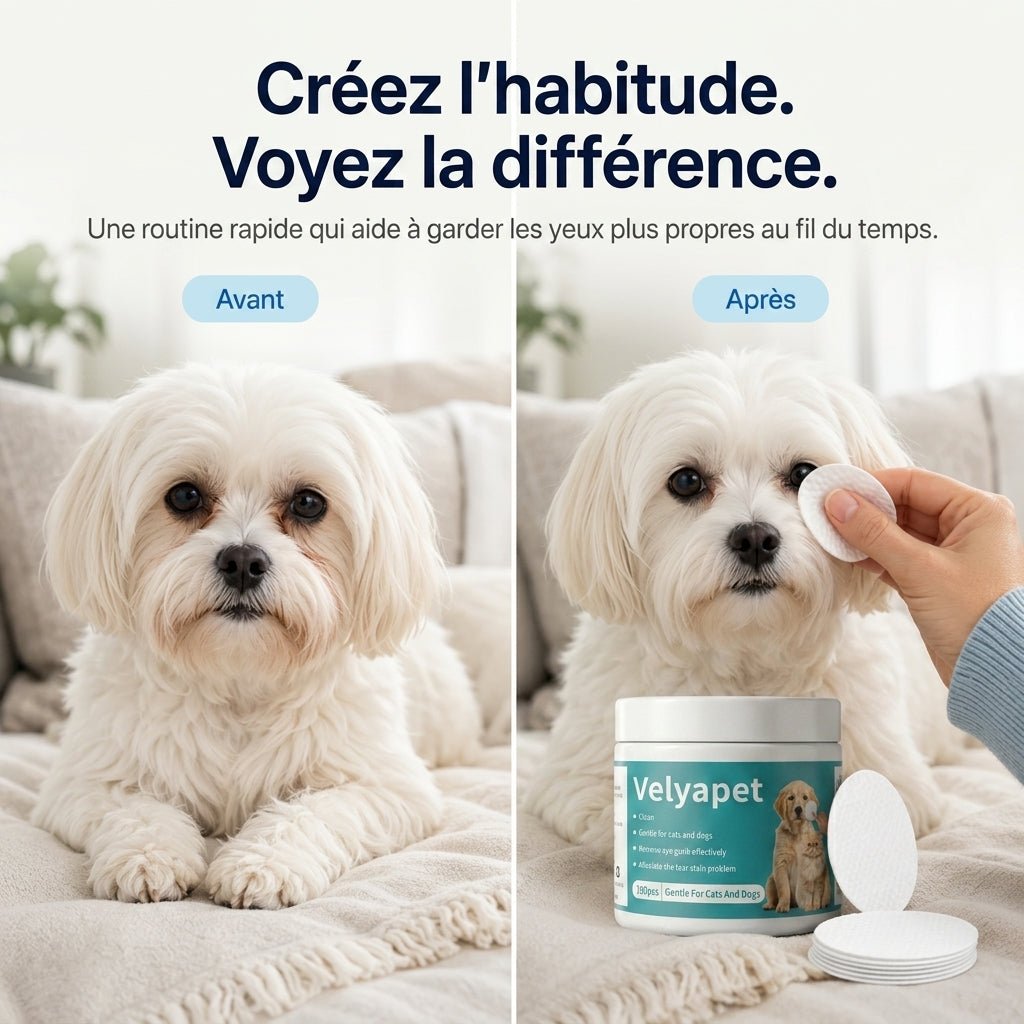 Velyapet – Lingettes pour traces de larmes chiens & chats - Velyapet