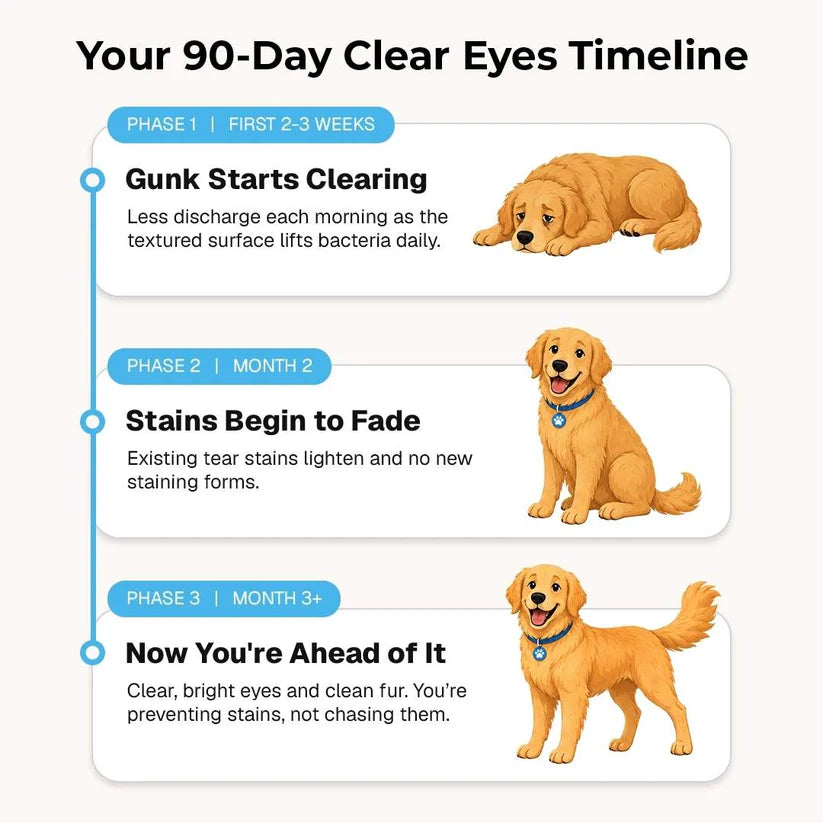 Velyapet – Prevention That Keeps Eyes Clear