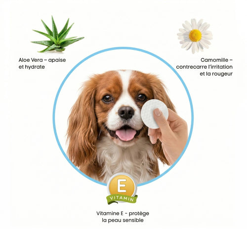 Velyapet – Prévention qui garde les yeux clairs