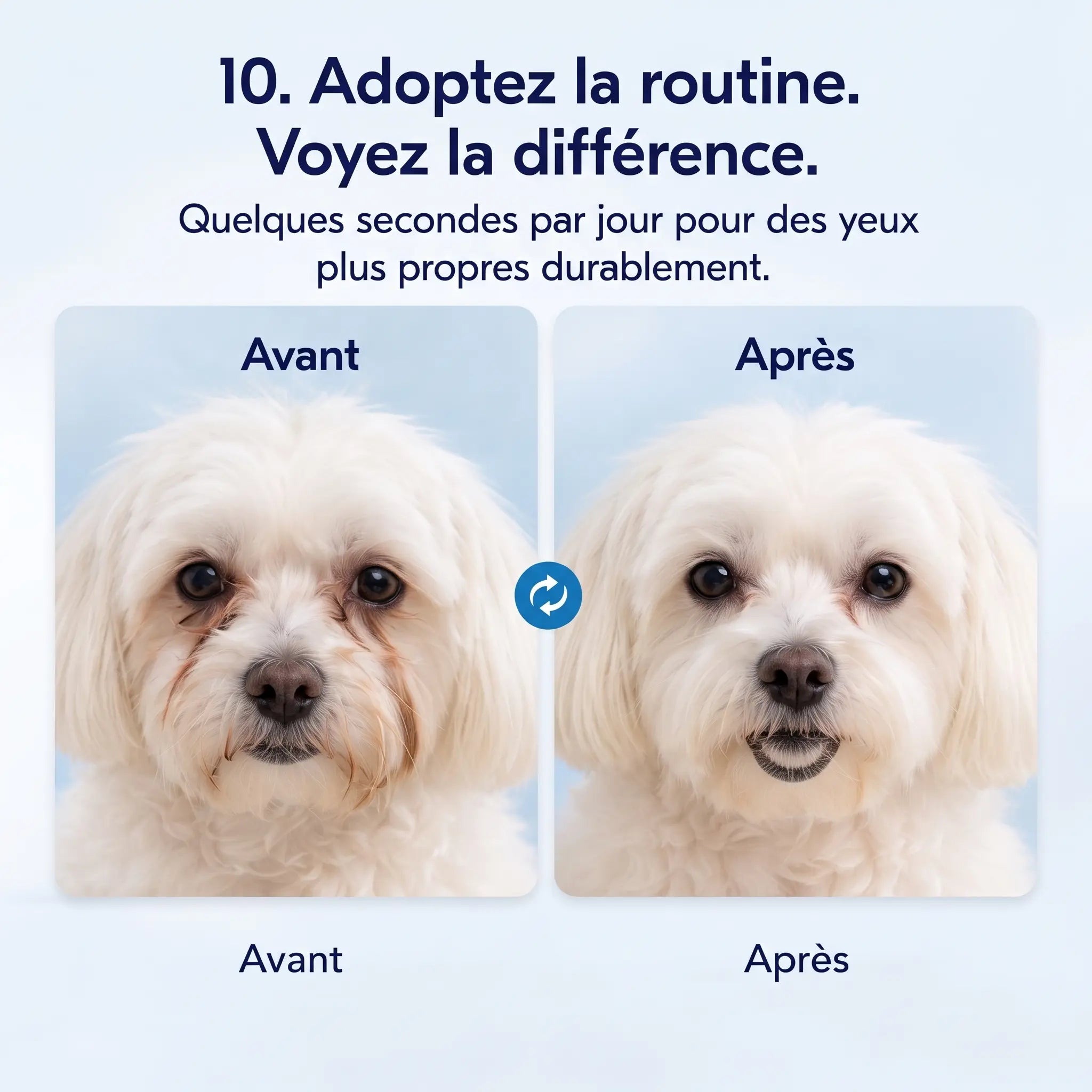 Velyapet – Prévention pour des yeux toujours propres