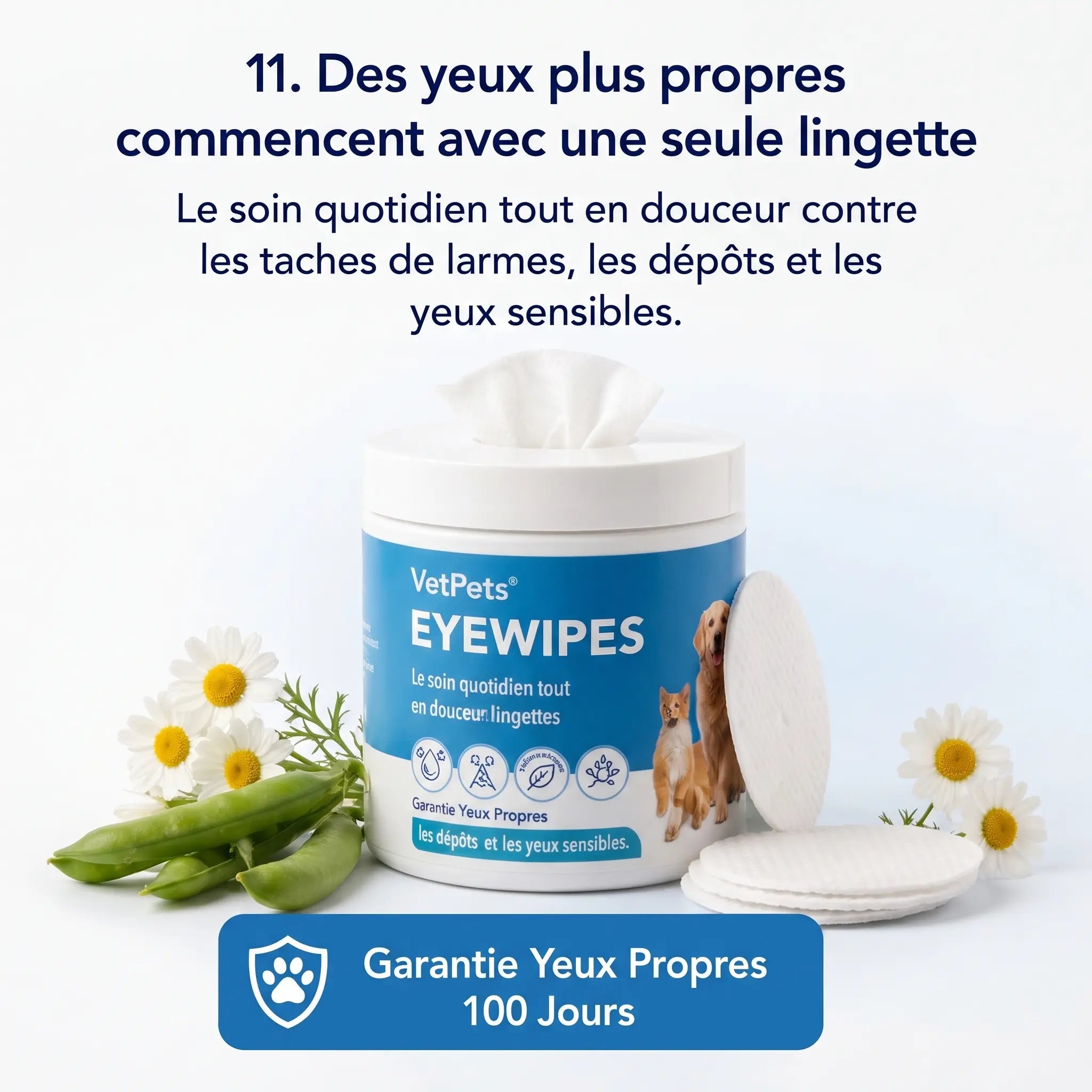 Velyapet – Prévention pour des yeux toujours propres
