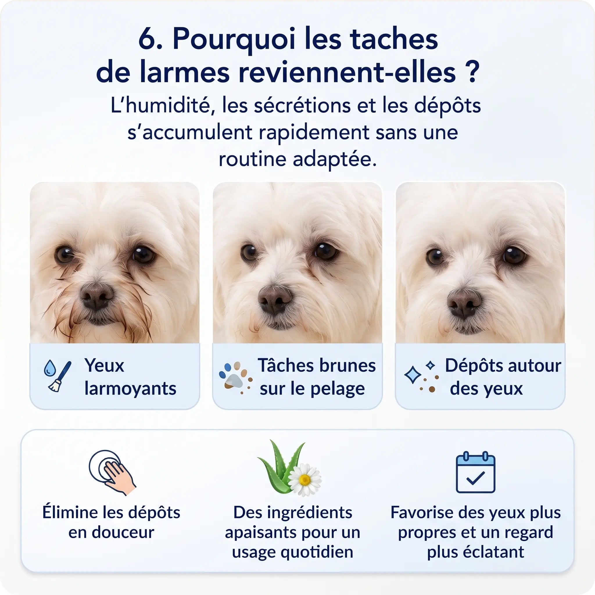 Velyapet – Prévention pour des yeux toujours propres