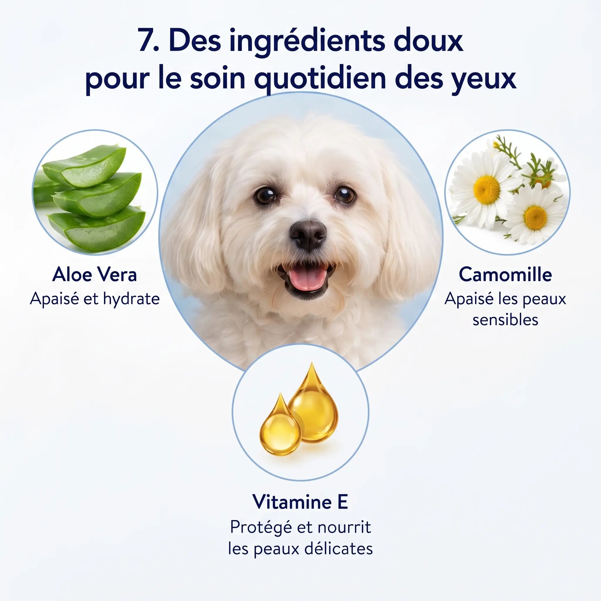 Velyapet – Prévention pour des yeux toujours propres