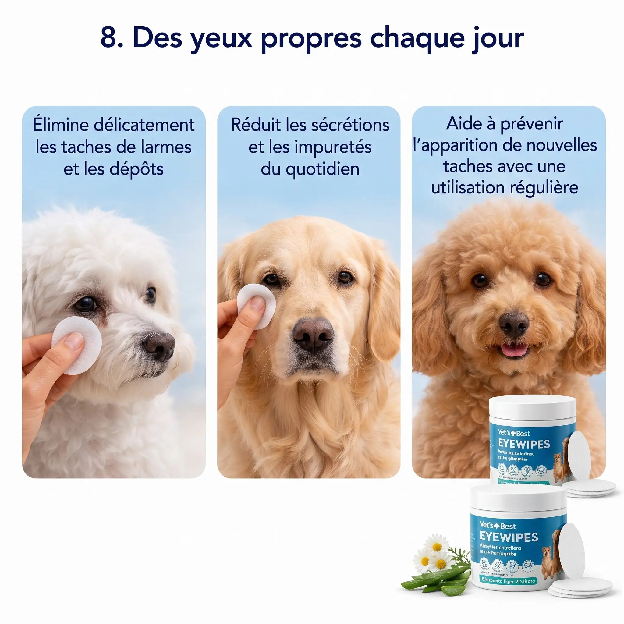 Velyapet – Prévention pour des yeux toujours propres