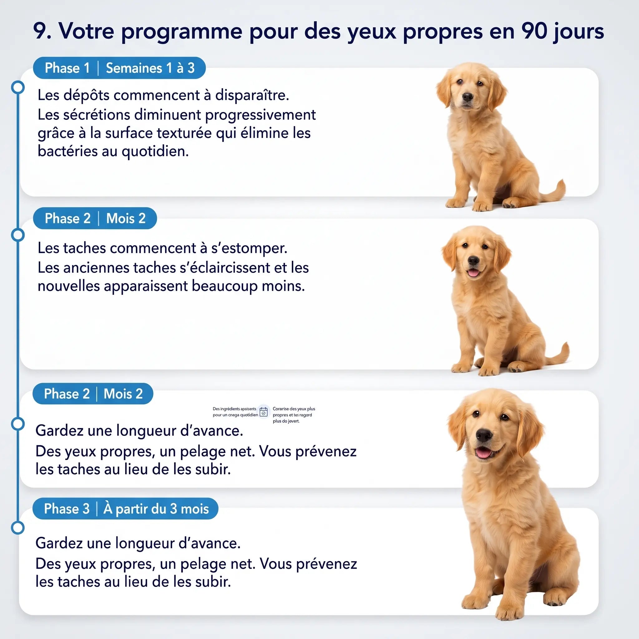 Velyapet – Prévention pour des yeux toujours propres