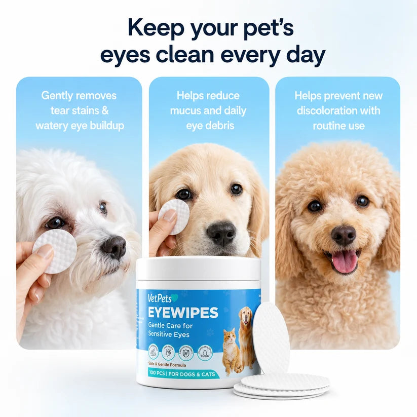 Velyapet – Prevention That Keeps Eyes Clear