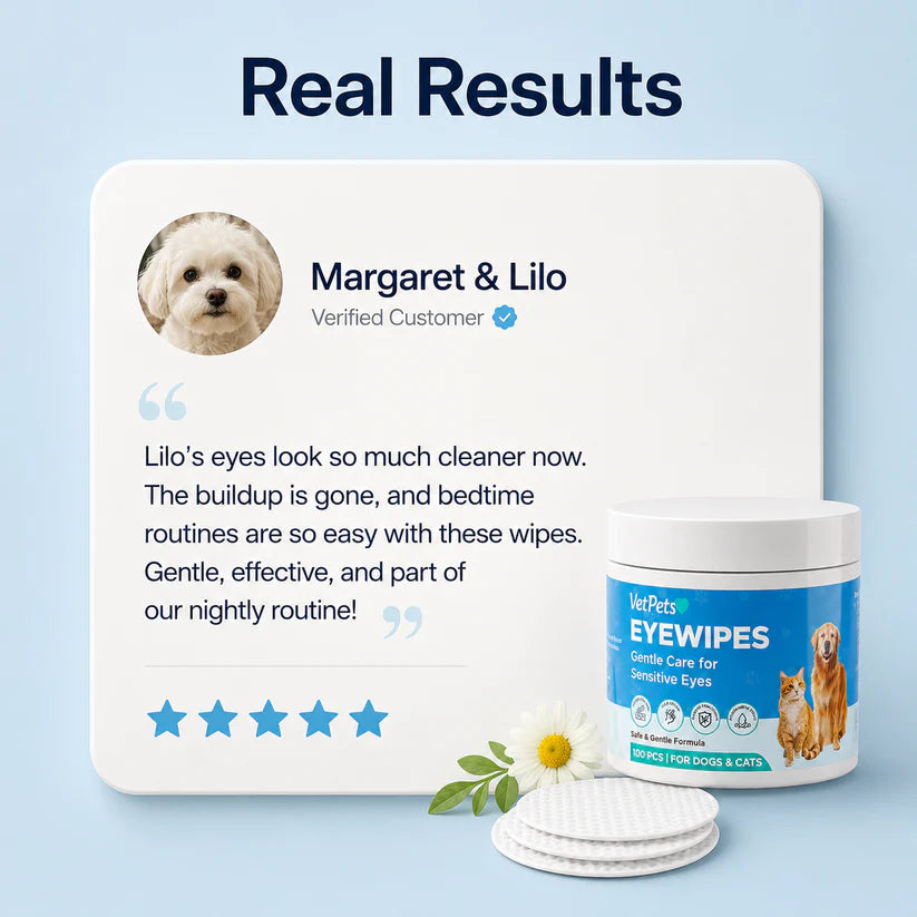 Velyapet – Prevention That Keeps Eyes Clear