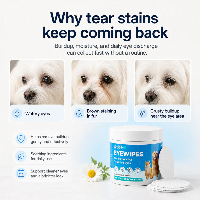 Velyapet – Prevention That Keeps Eyes Clear